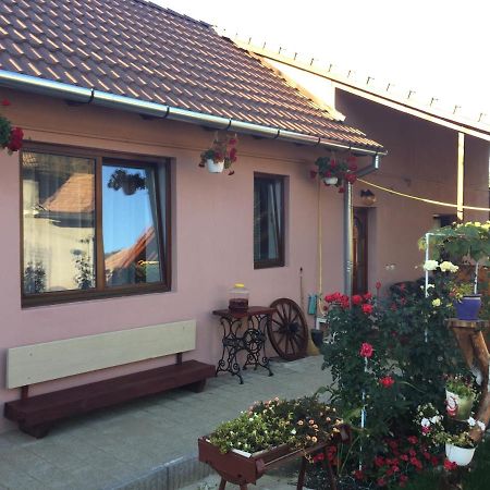 Casa Rustica Cu Terasa Villa Medias Luaran gambar