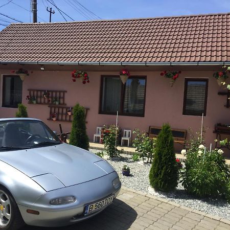 Casa Rustica Cu Terasa Villa Medias Luaran gambar