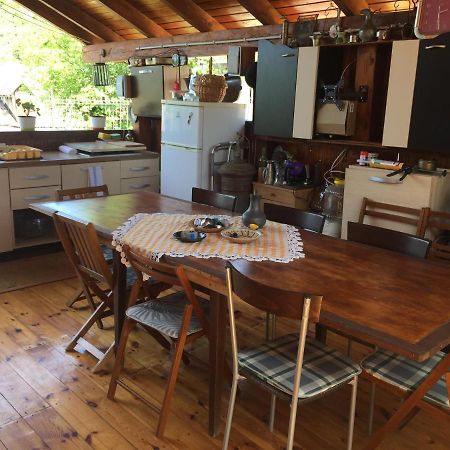 Casa Rustica Cu Terasa Villa Medias Luaran gambar